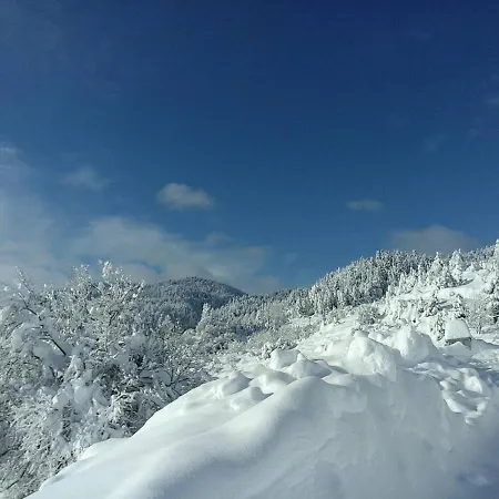 Chalet Arli House Ano Trikala