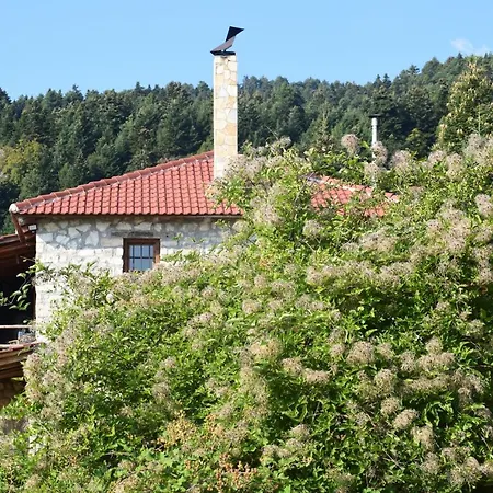 Arli House * Ano Trikala