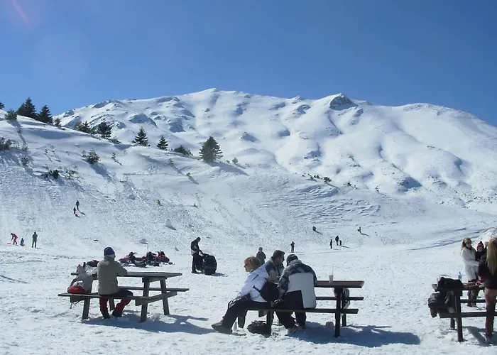 Arli House شاليه